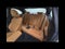 2023 BMW 2 Series M240i
