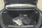 2025 BMW 7 Series 750e xDrive