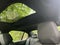 2024 BMW 5 Series 530i xDrive