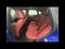 2024 BMW 4 Series 430i xDrive Gran Coupe