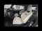 2026 MINI Cooper SIGNATURE PLUS