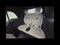 2026 MINI Cooper SIGNATURE PLUS