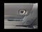 2026 MINI Cooper S SIGNATURE PLUS