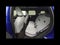 2027 MINI Cooper S Countryman OXFORD EDITION