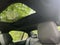 2024 BMW 530i 530i xDrive
